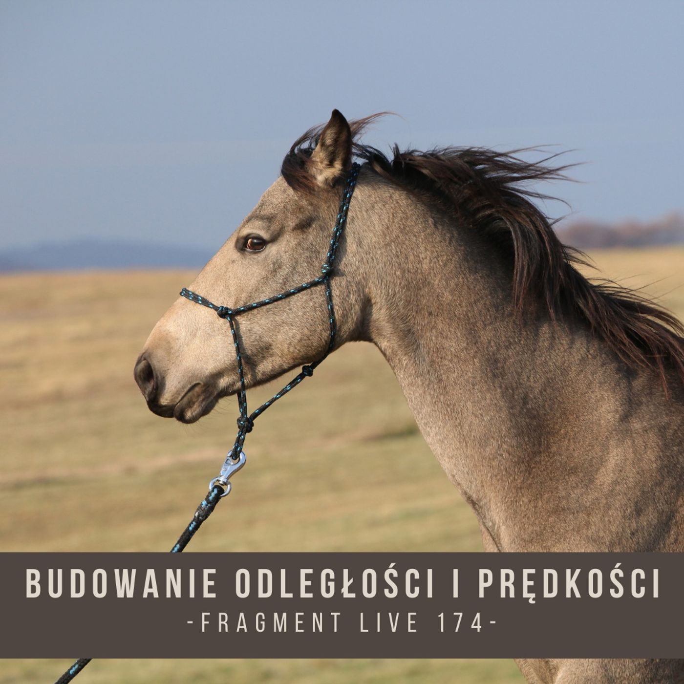 Budowanie odległośći w treningu koni - fragment live 174 episode artwork
