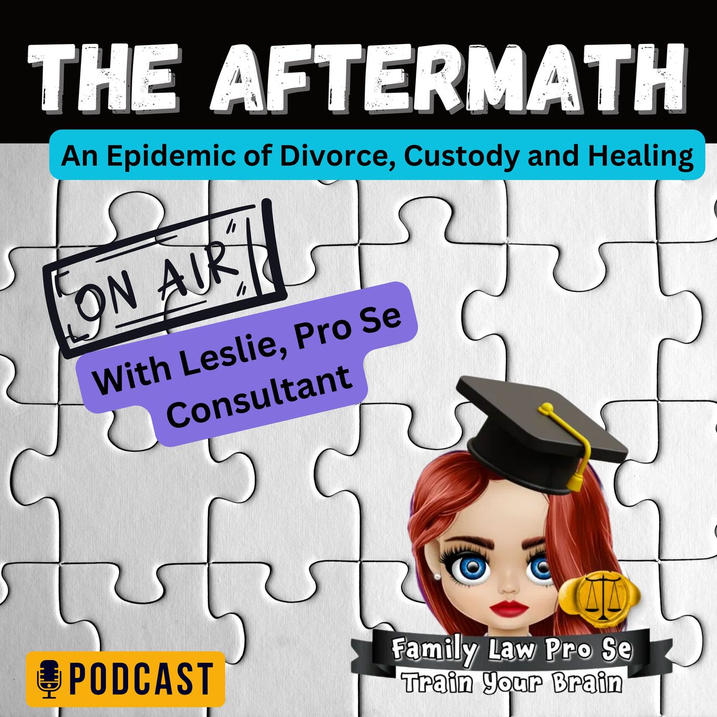 Be Your Own Lawyer During Your Custody Case with Leslie Alexi