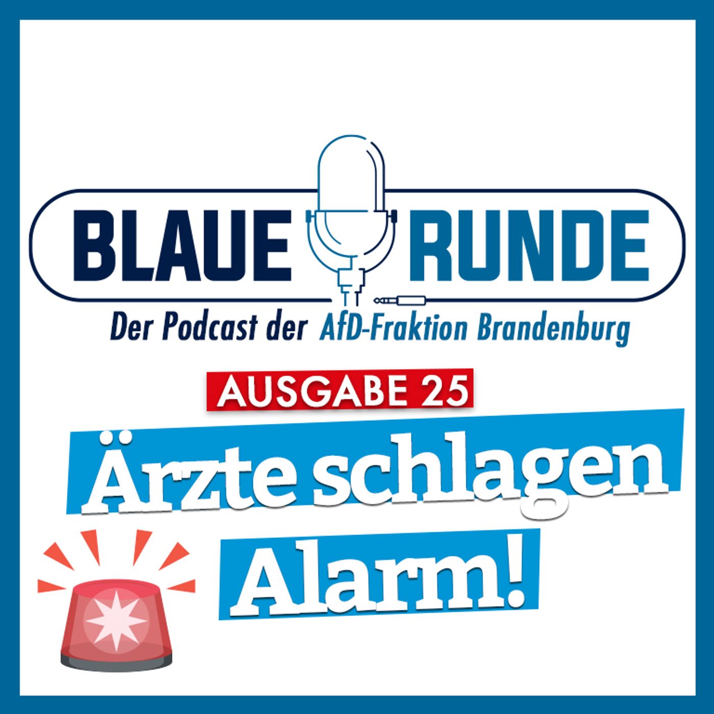 Die Blaue Runde - der Podcast der AfD-Fraktion Brandenburg