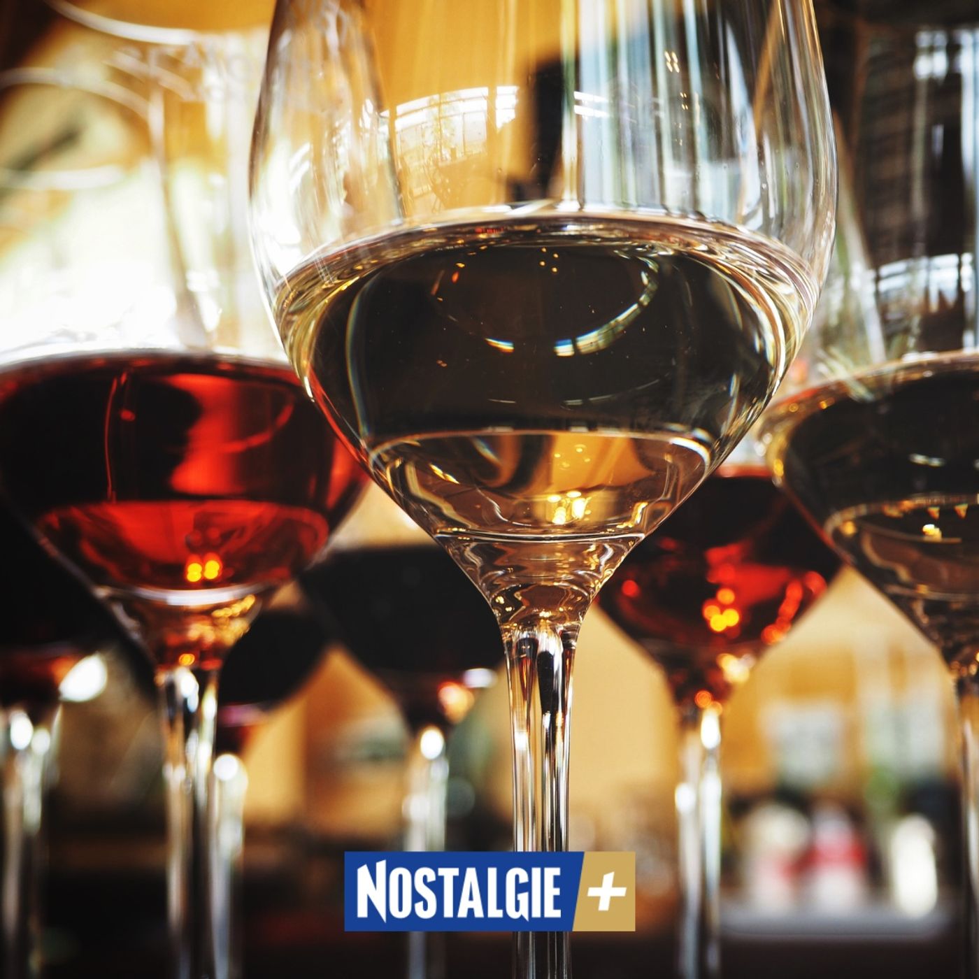 Tout savoir sur le vin gris : le rosé tout en élégance