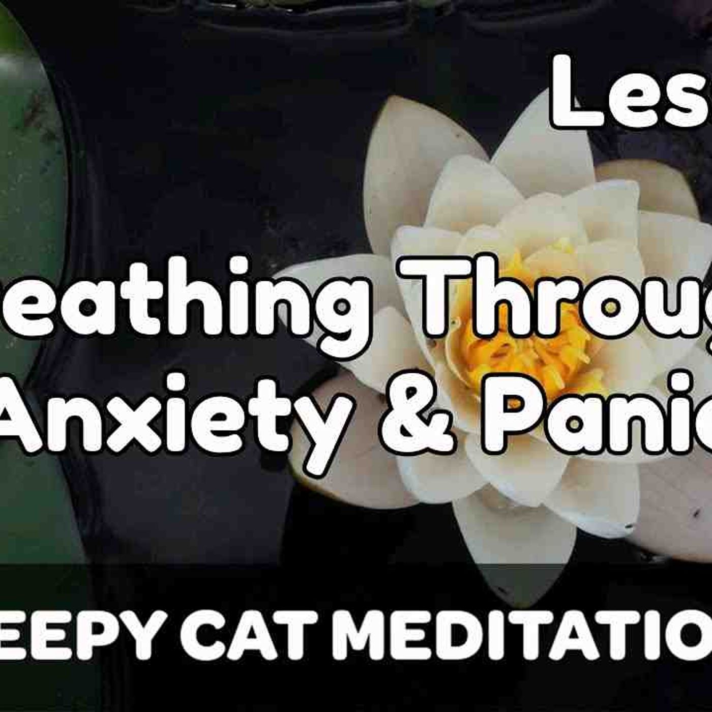 Lesson 2_ Breathing Through Anxiety _ The Power Of The Exhale  (Beginner Breathwork Course)(MP3_160K)