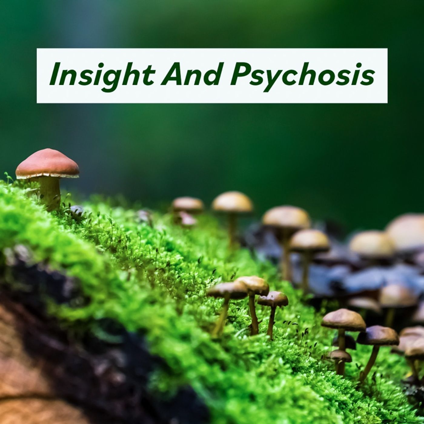 PsychosisPsositivity