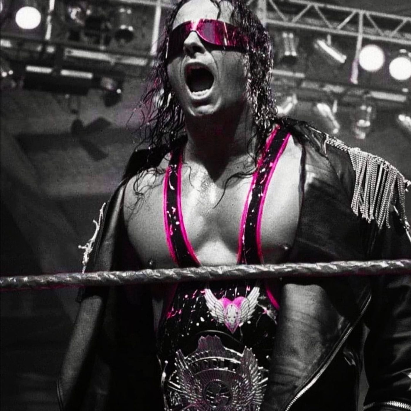 Bret " Hitman " Hart Interview