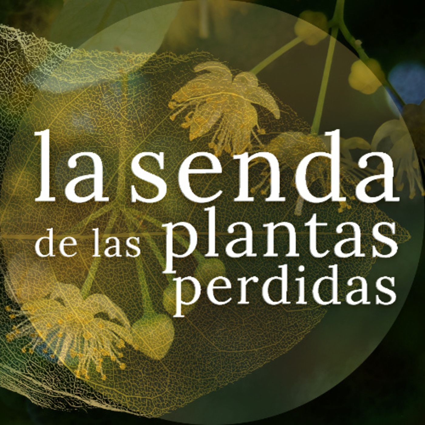 La Senda de las Plantas Perdidas