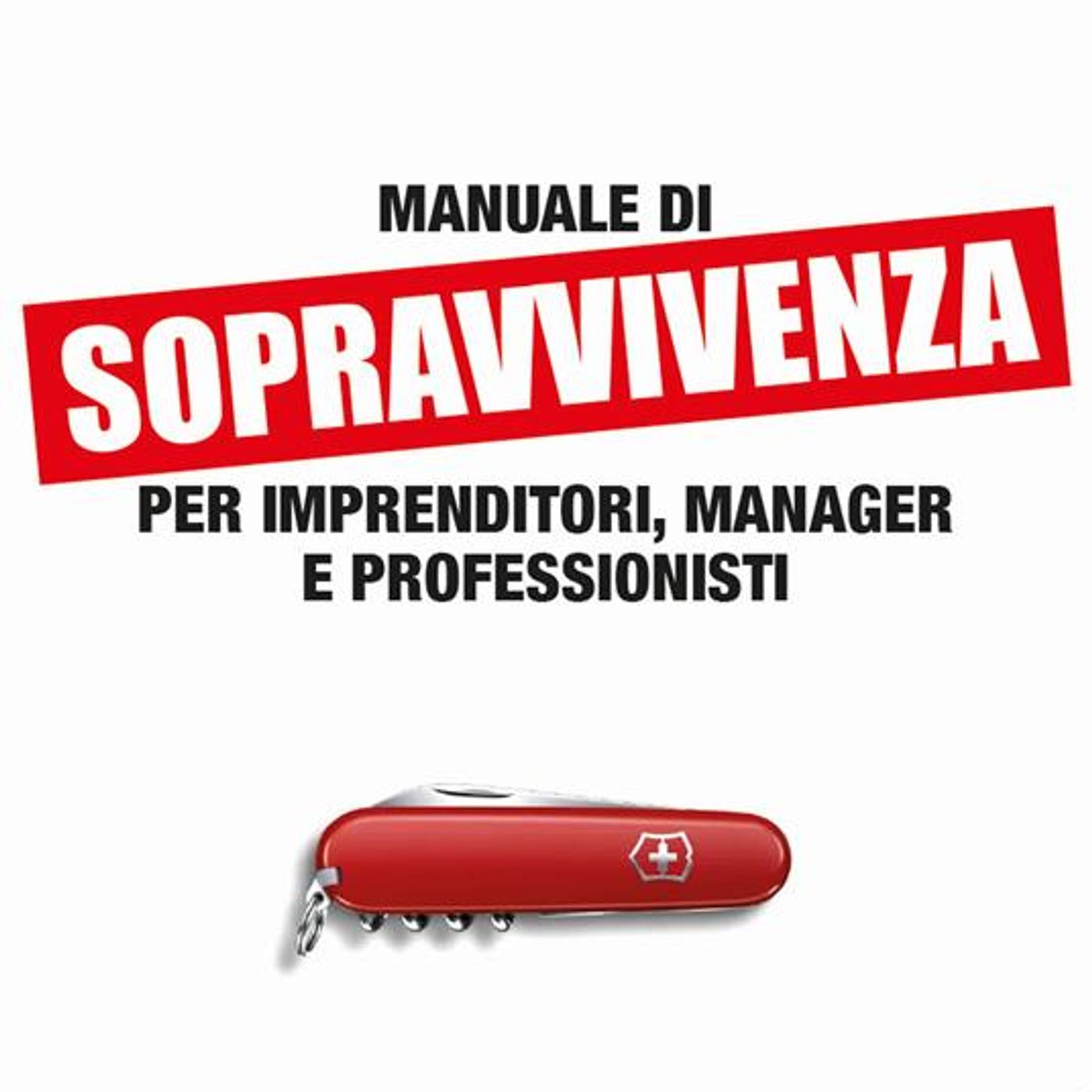 Gabriele Pensieri: “Il mio Manuale di sopravvivenza per imprenditori e professionisti nasce da un'esigenza personale” episode artwork