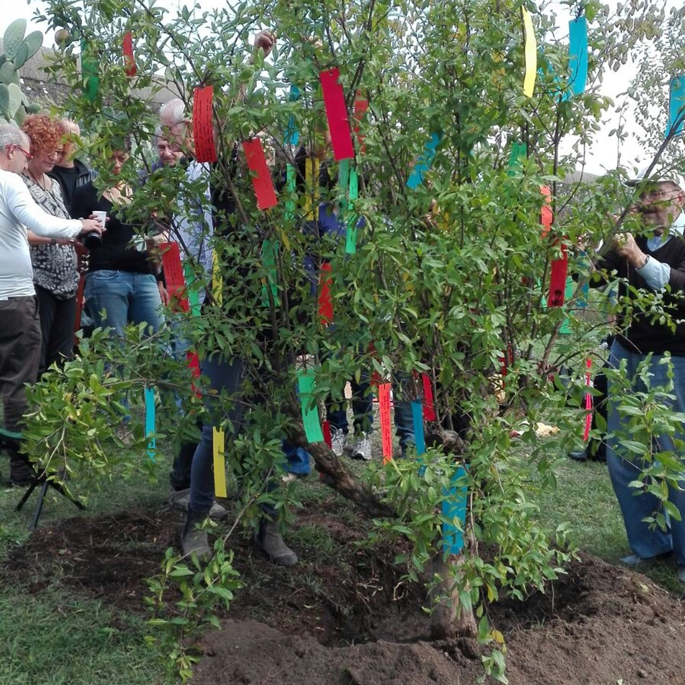 Giardinaggio bellico