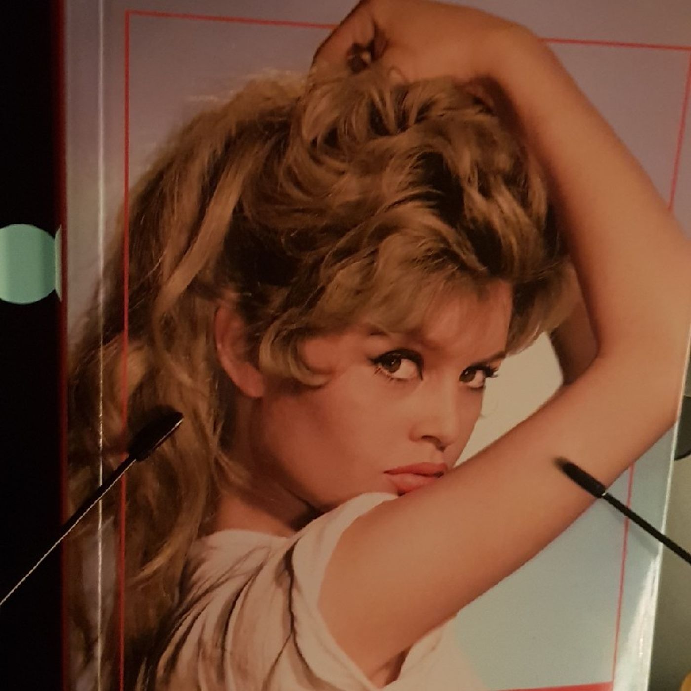 Icone : Brigitte Bardot  - BB