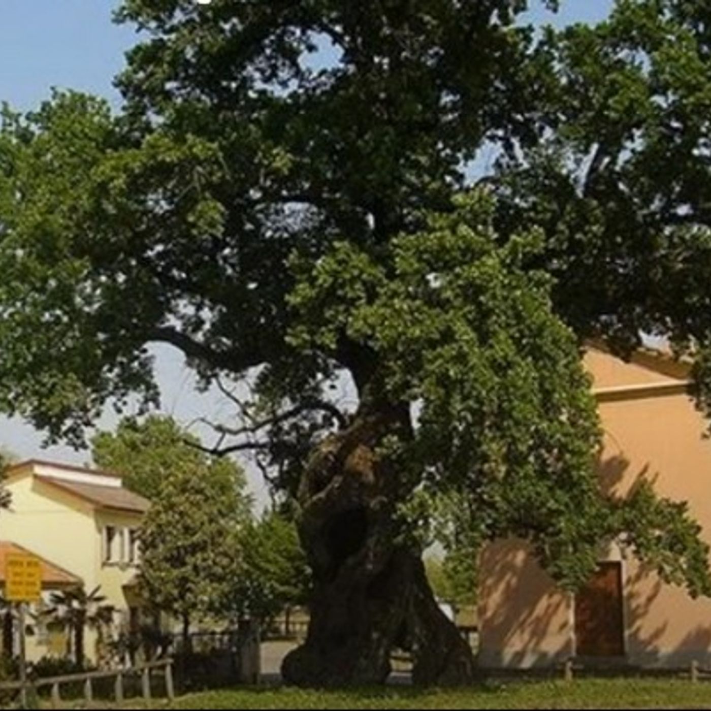 Tracce di Domenico Tota