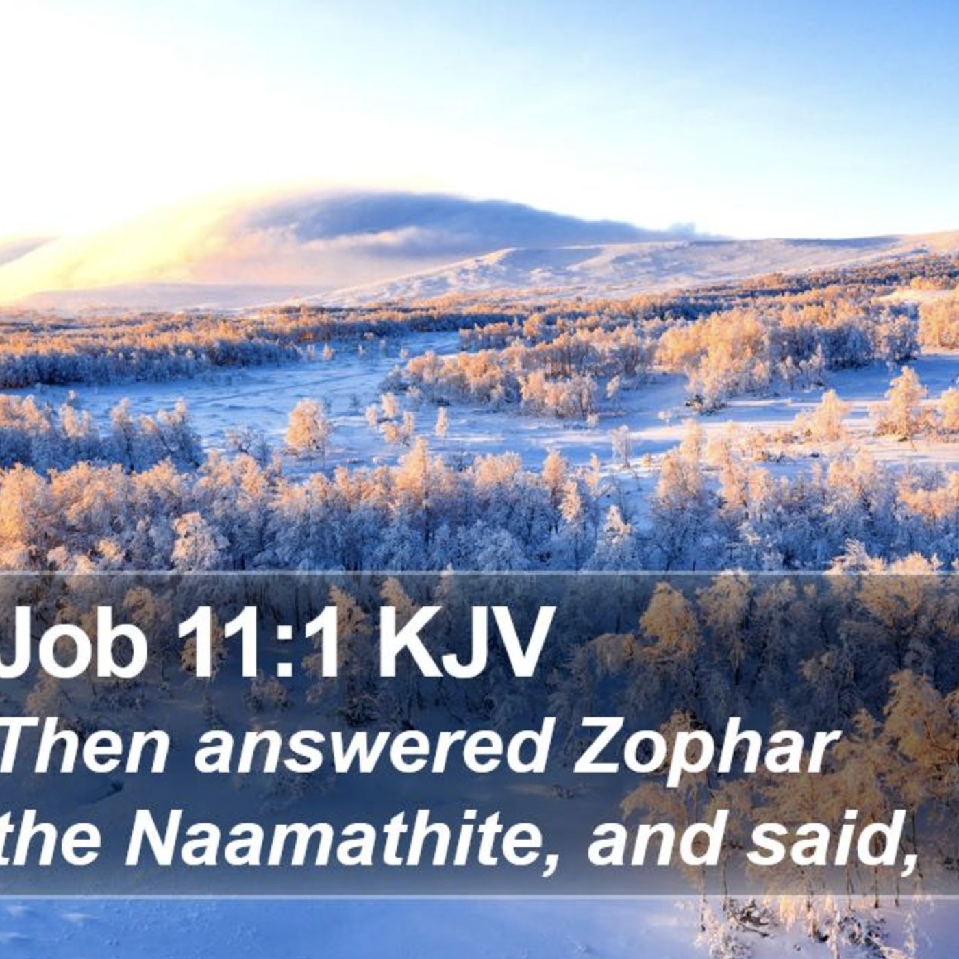 Job chapter 11