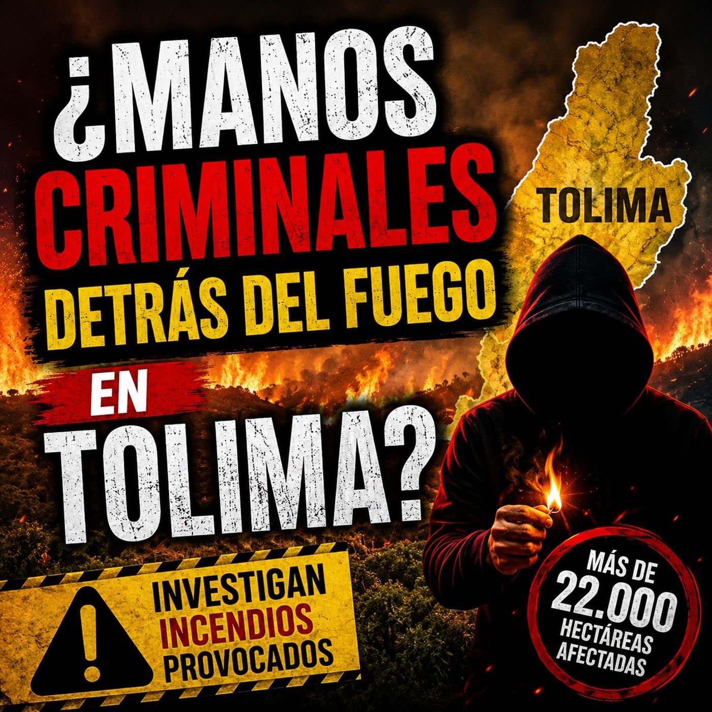 ¿Manos criminales detrás del fuego en Tolima? 🚨🔥 episode artwork