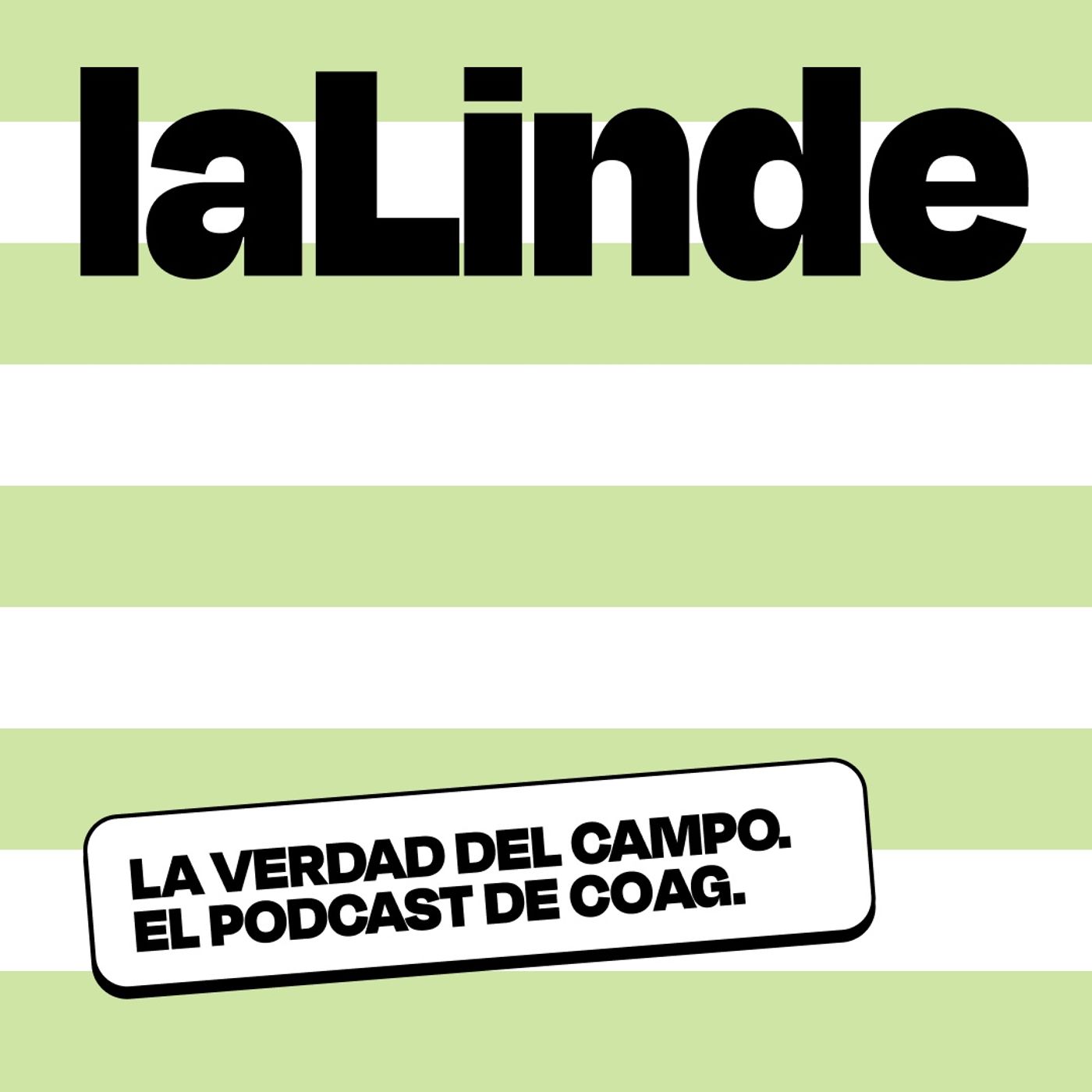 laLinde by COAG