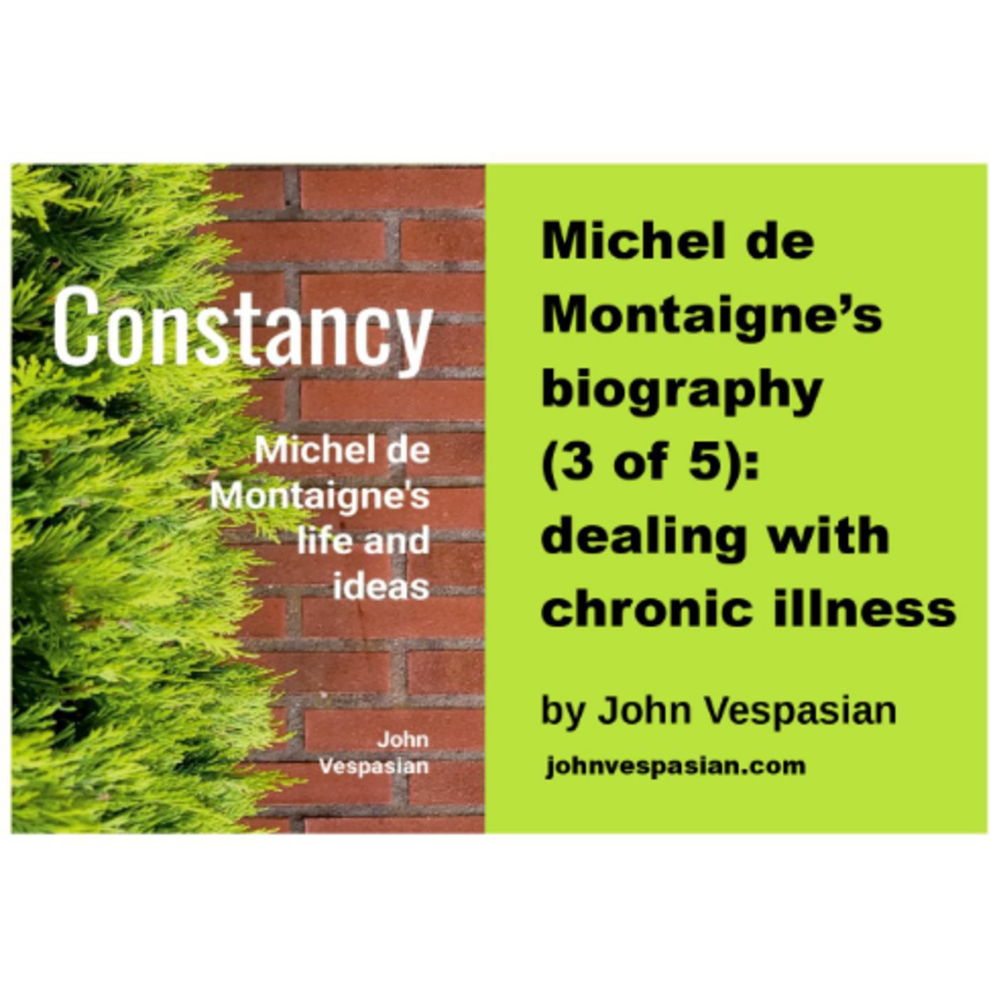 Michel de Montaigne’s biography (3 of 5): dealing with chronic illness episode artwork