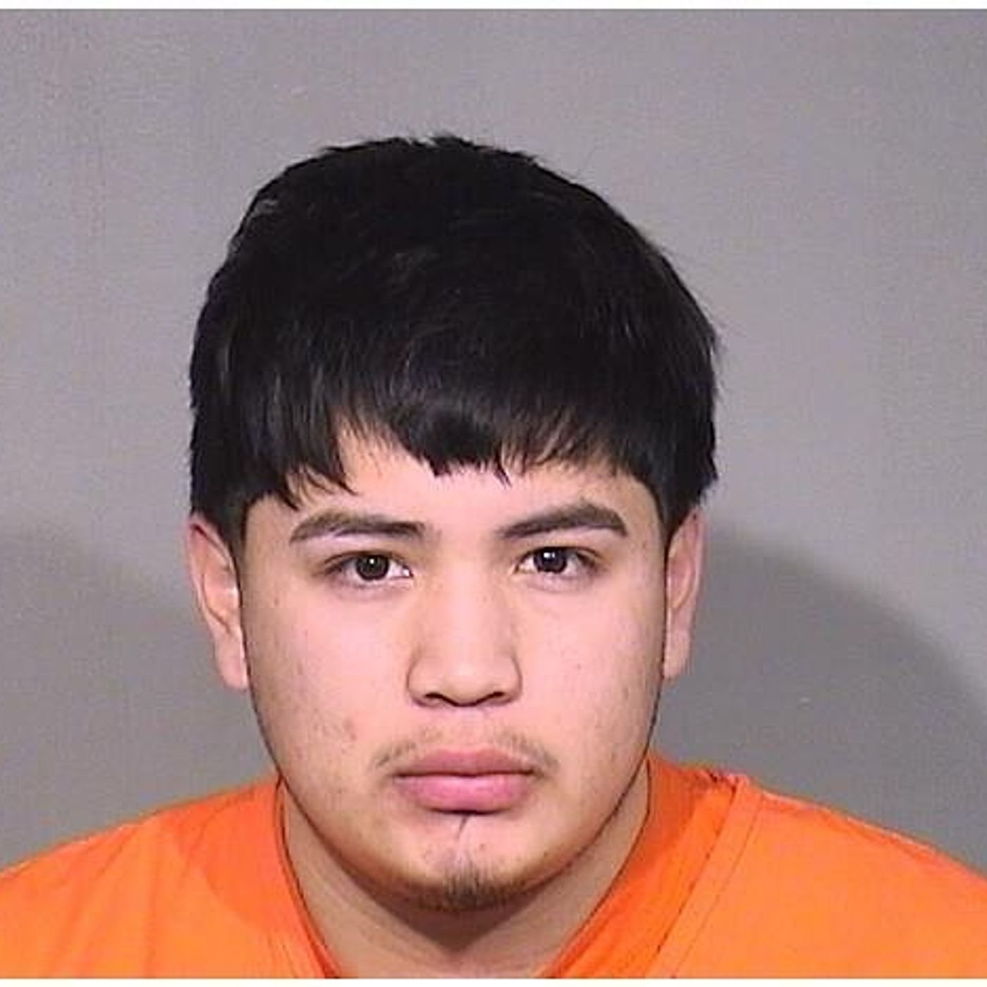 Harvard man, 18, accused of strangling woman until she ‘crashed out,’ then sexually assaulting her episode artwork