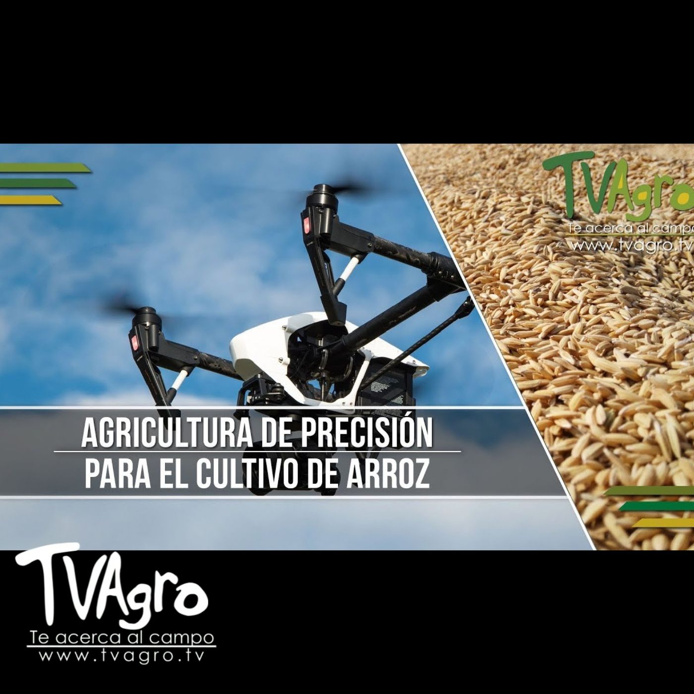 TV AGRO