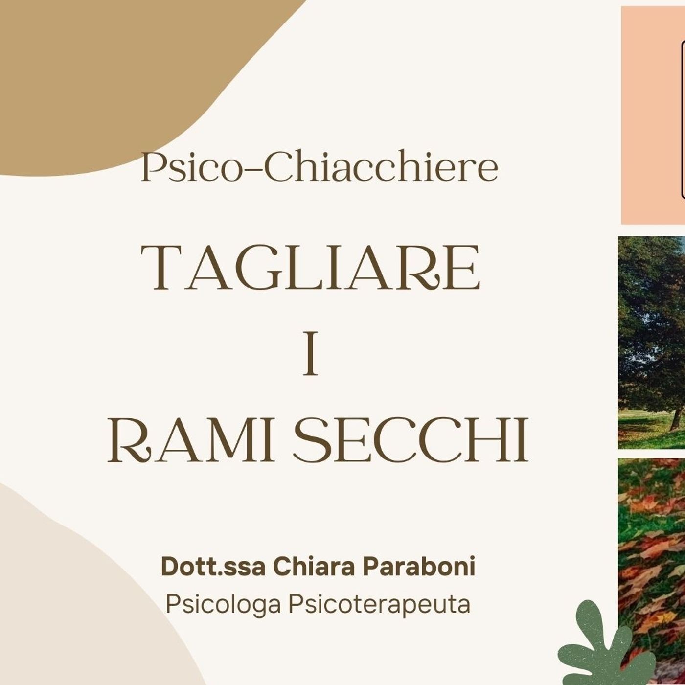 Stagione 2024-2025