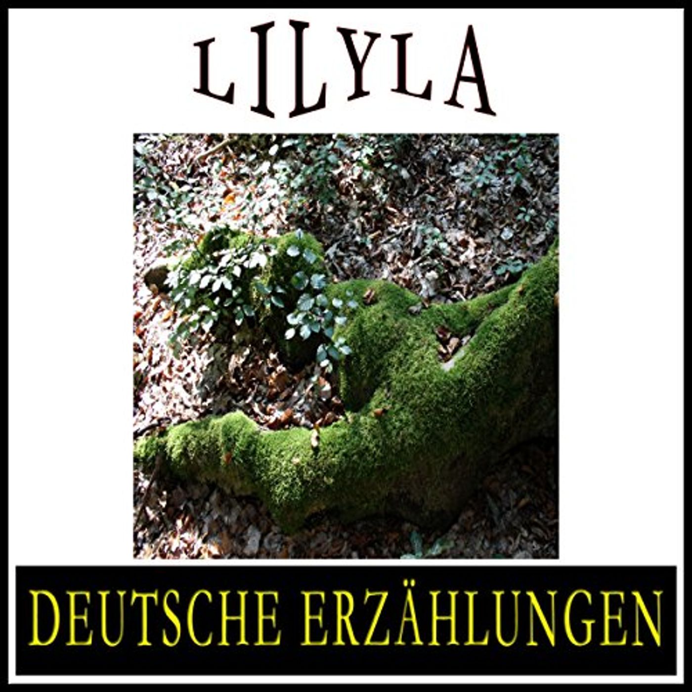 Deutsche Erzählungen 2 Hörbuch von div. episode artwork