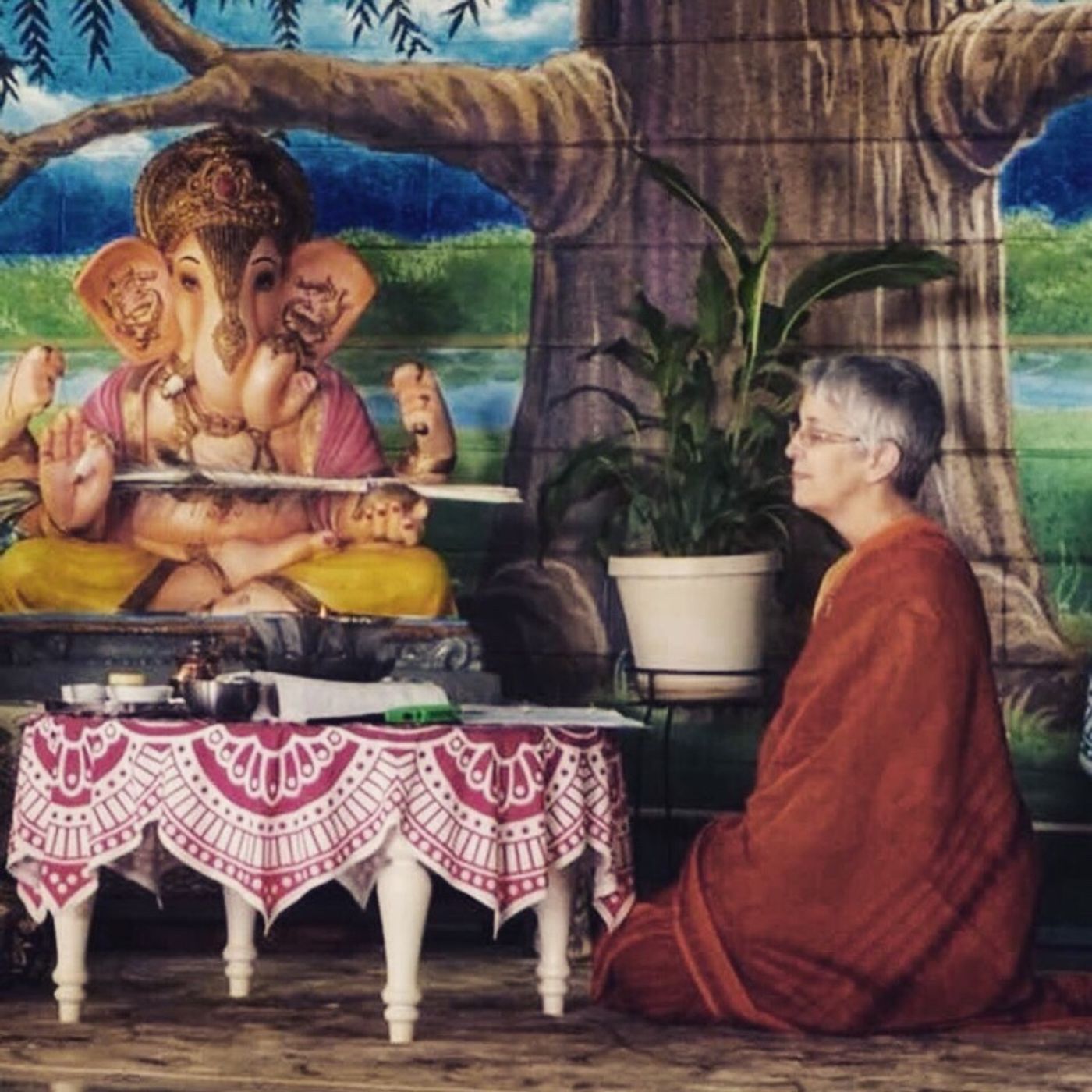 Enthusiasm and Vision. A Wisdom Circle Discussion with Sudha Mataji 10/6/19 episode artwork