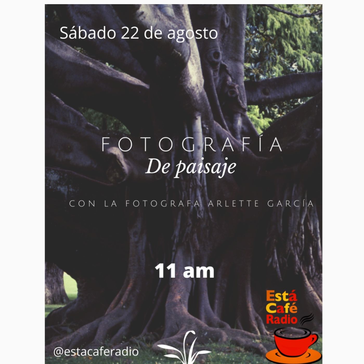 Está Café Podcast