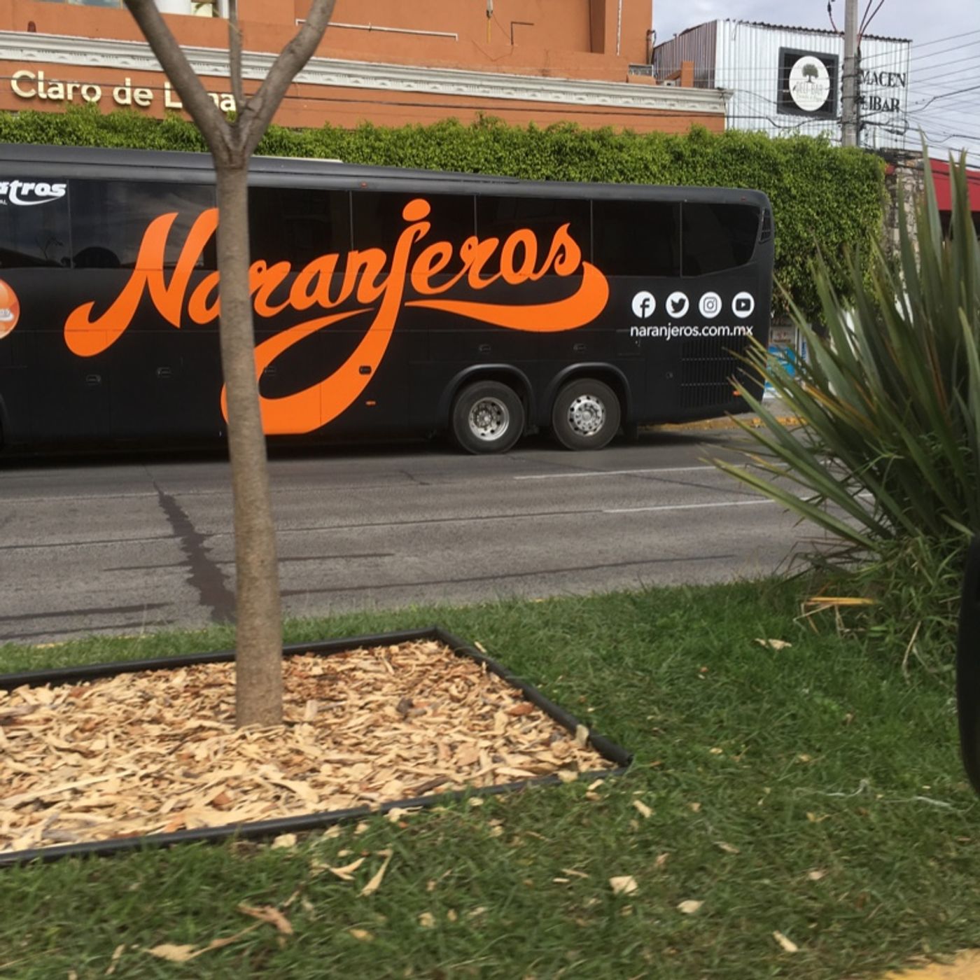 Arranca la serie frente a Naranjeros