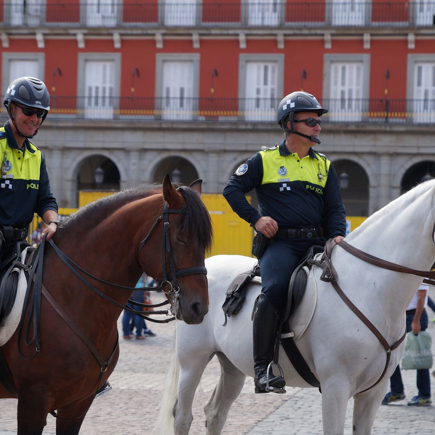 La República de los Tonnntos: La "propuesta" del PSOE de poner pañales a los caballos