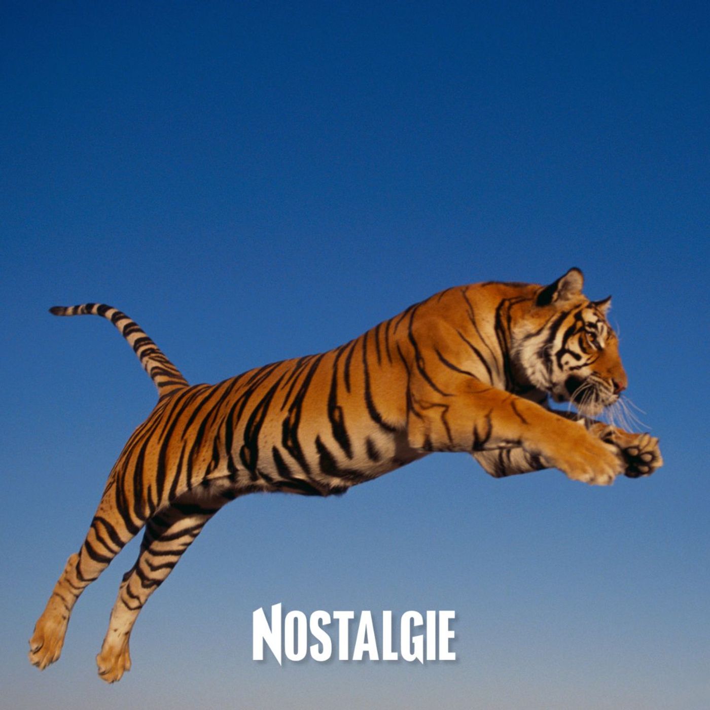 Le Scoop Volant du tigre tranquille episode artwork