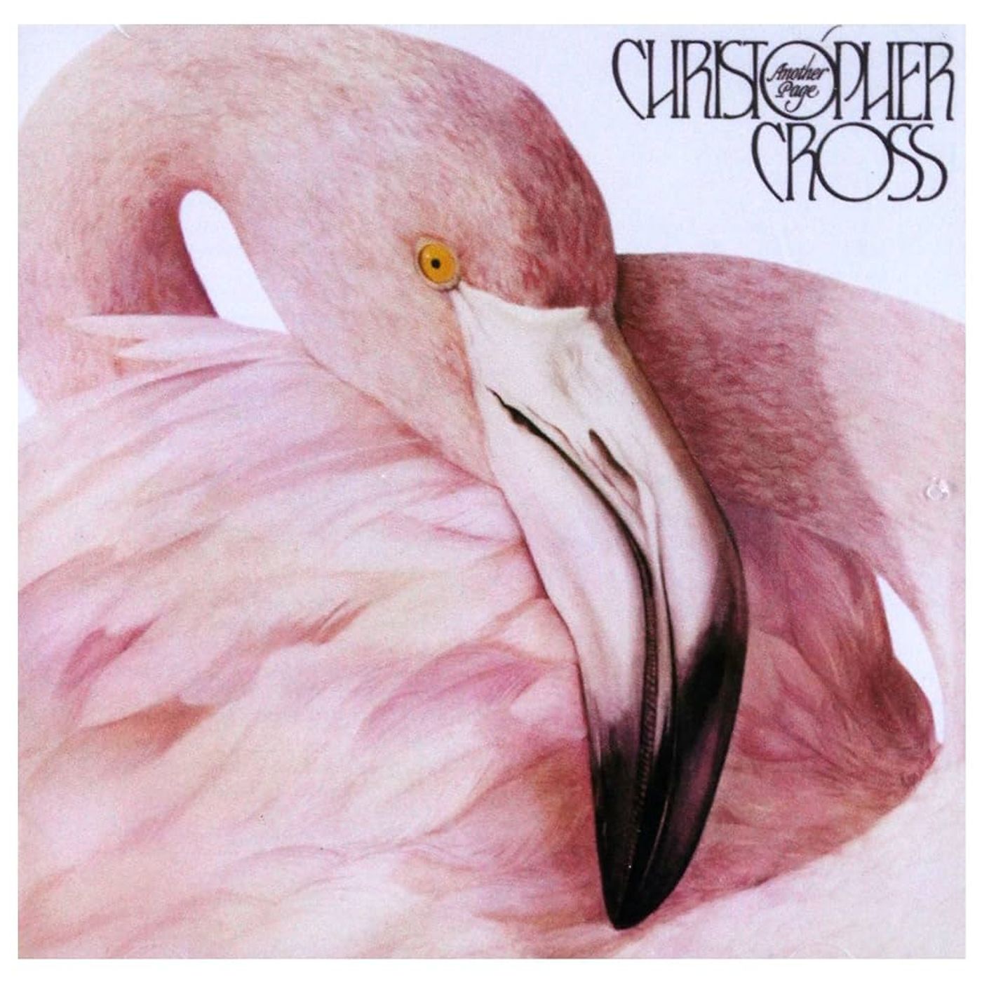 La Scatola dei Vinili -Vi racconto Another Page - Christopher Cross episode artwork