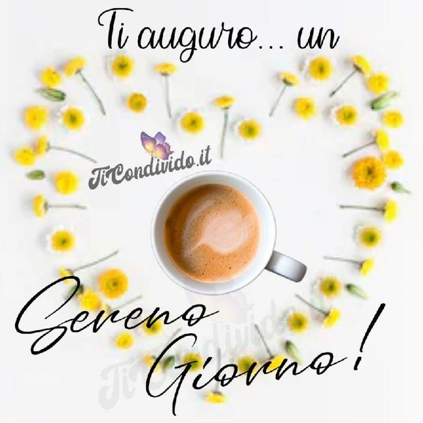 Lo show di Roberta Canu