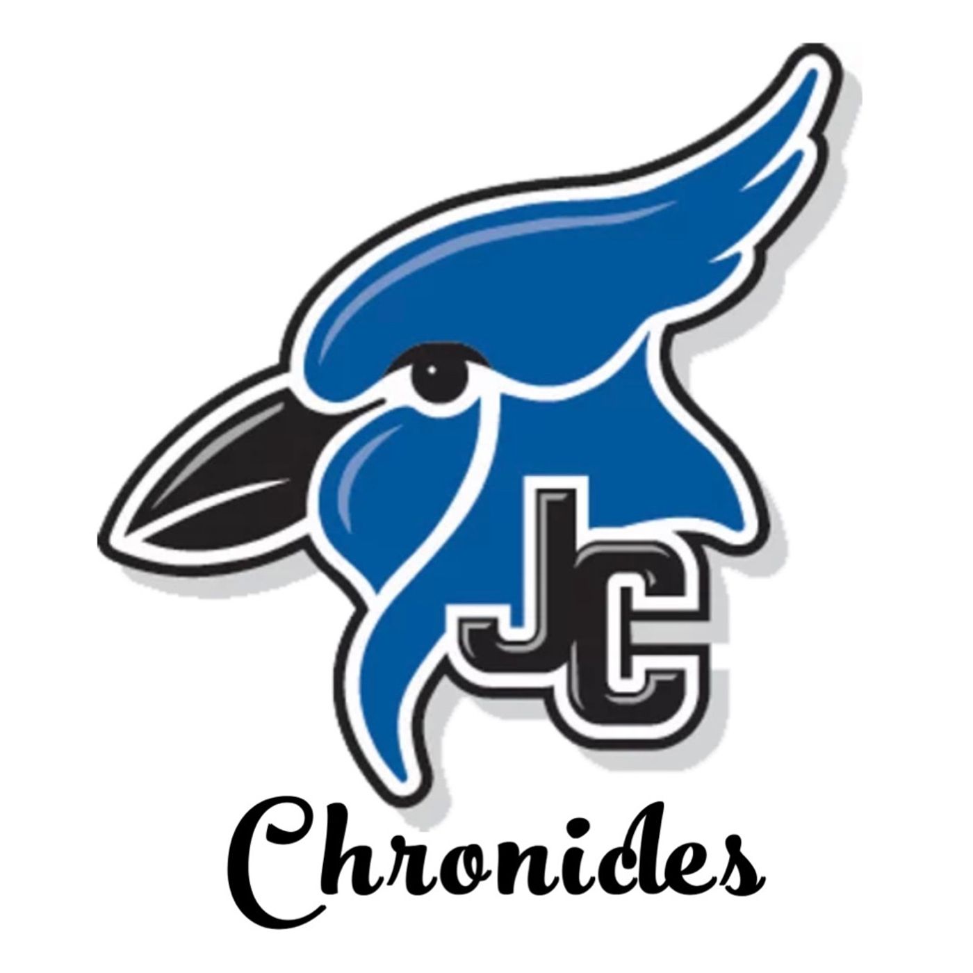 The Junction City Chronicles