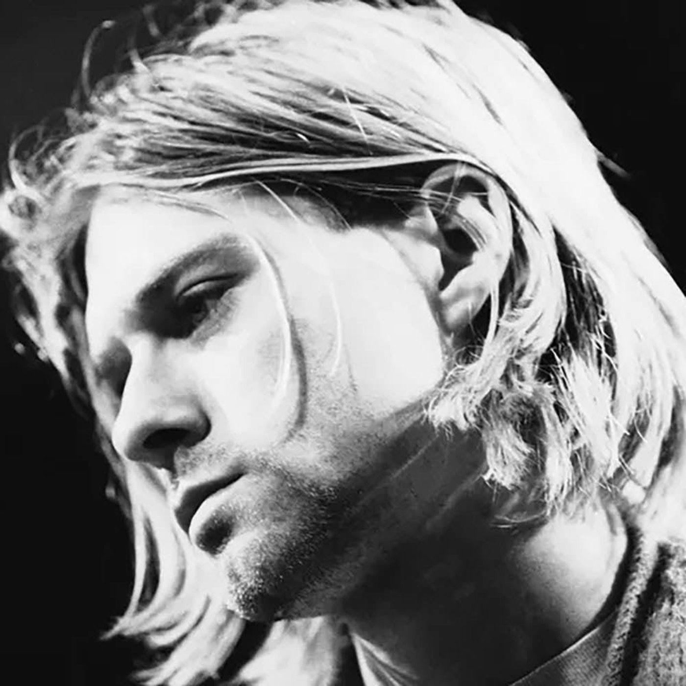 Echoes of the Greenhouse: Challenging the Cobain Suicide Narrative episode artwork