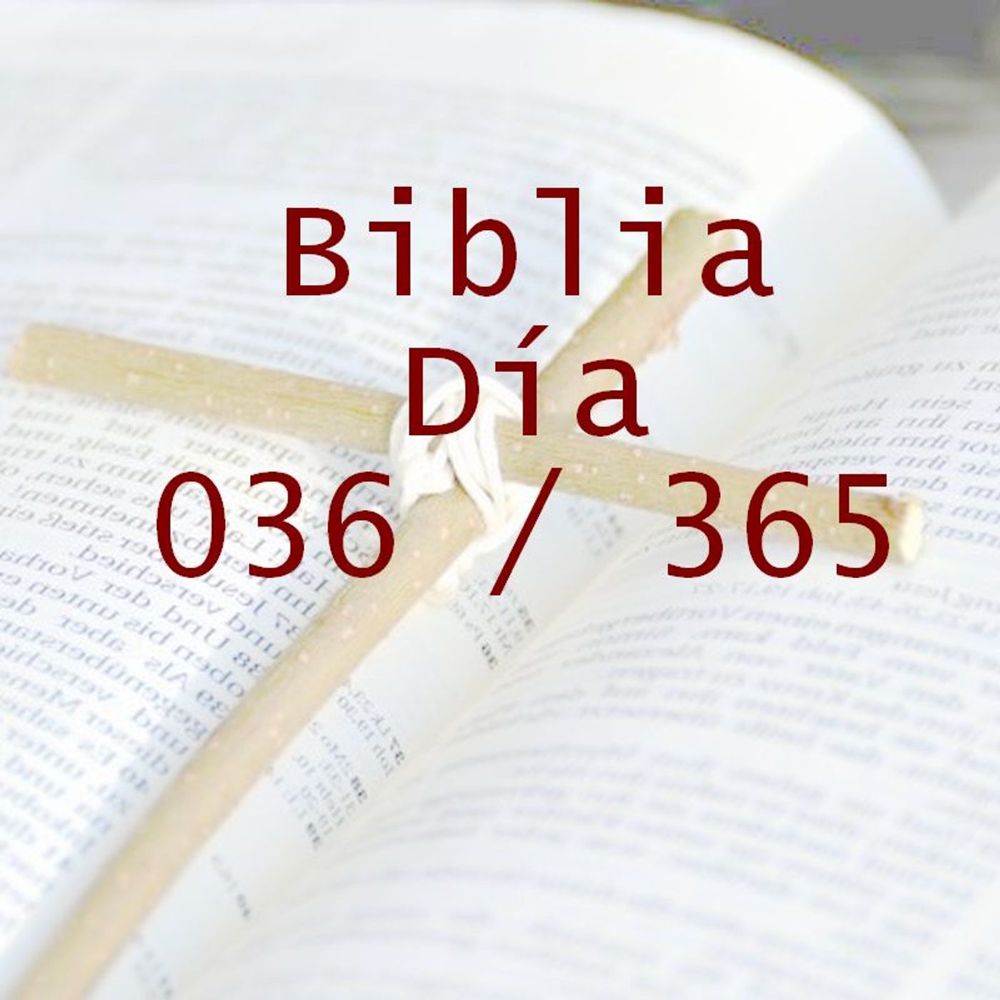 La Biblia en 365 dias
