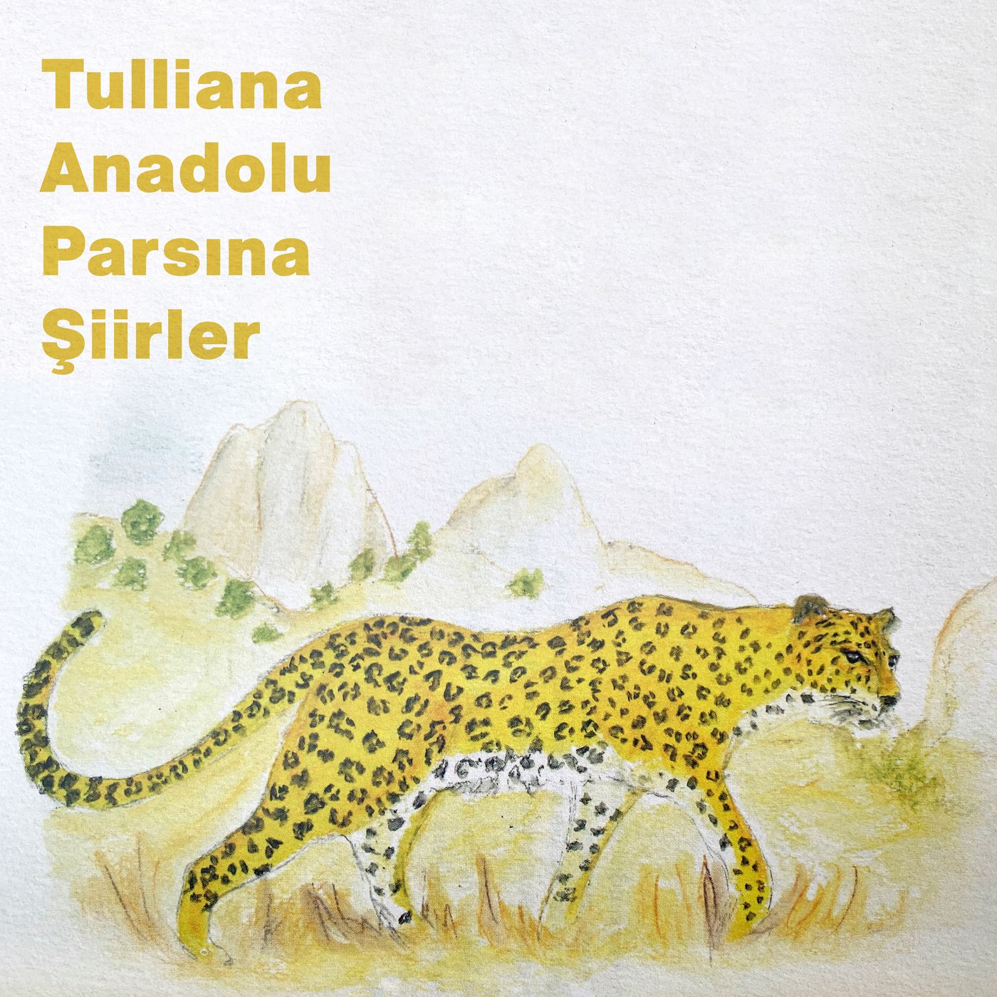 Tulliana Anadolu Parsına Şiirler episode artwork