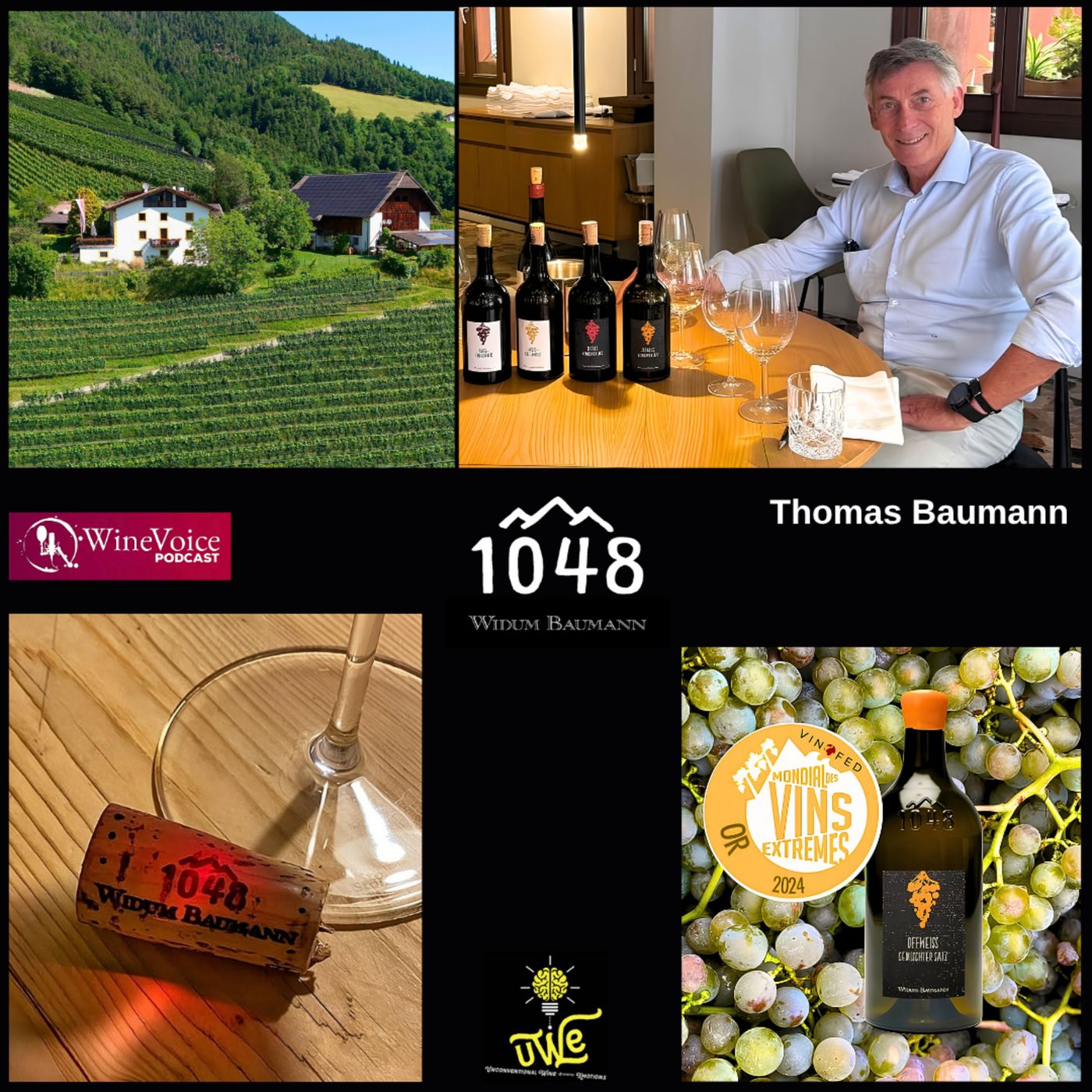 Le Terre del Vino: WIDUM BAUMANN, una storia di coraggio! (Alto Adige) episode artwork
