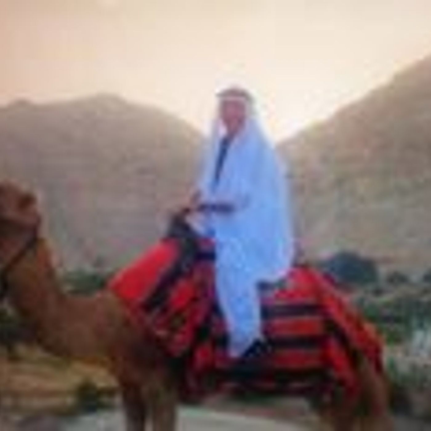 The Cindy Paulos Show