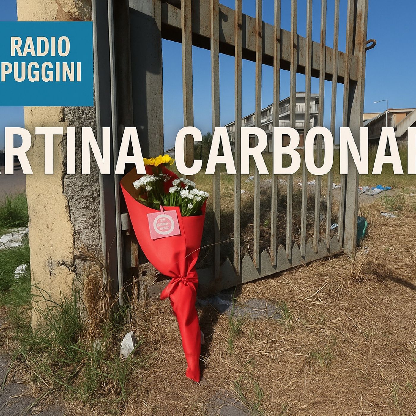 Delitto Martina Carbonaro - L'ennesimo caso che fa male | Il ragazzo ha confessato 29.05.2025 episode artwork