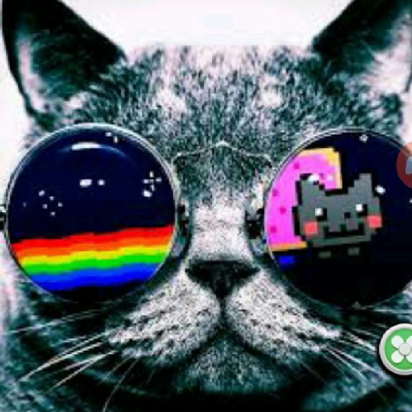 El show de Cristian Martínez