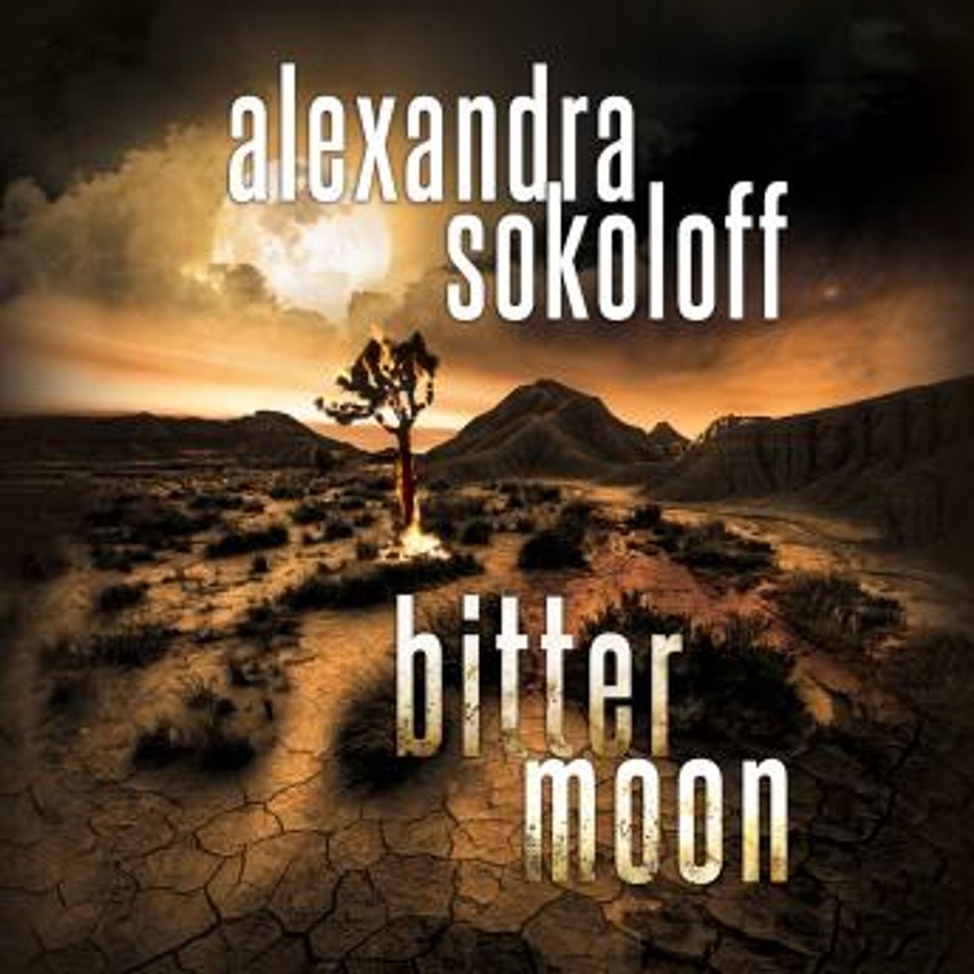 Access Must-Have Full Audiobooks in Fiction, Contemporary Women