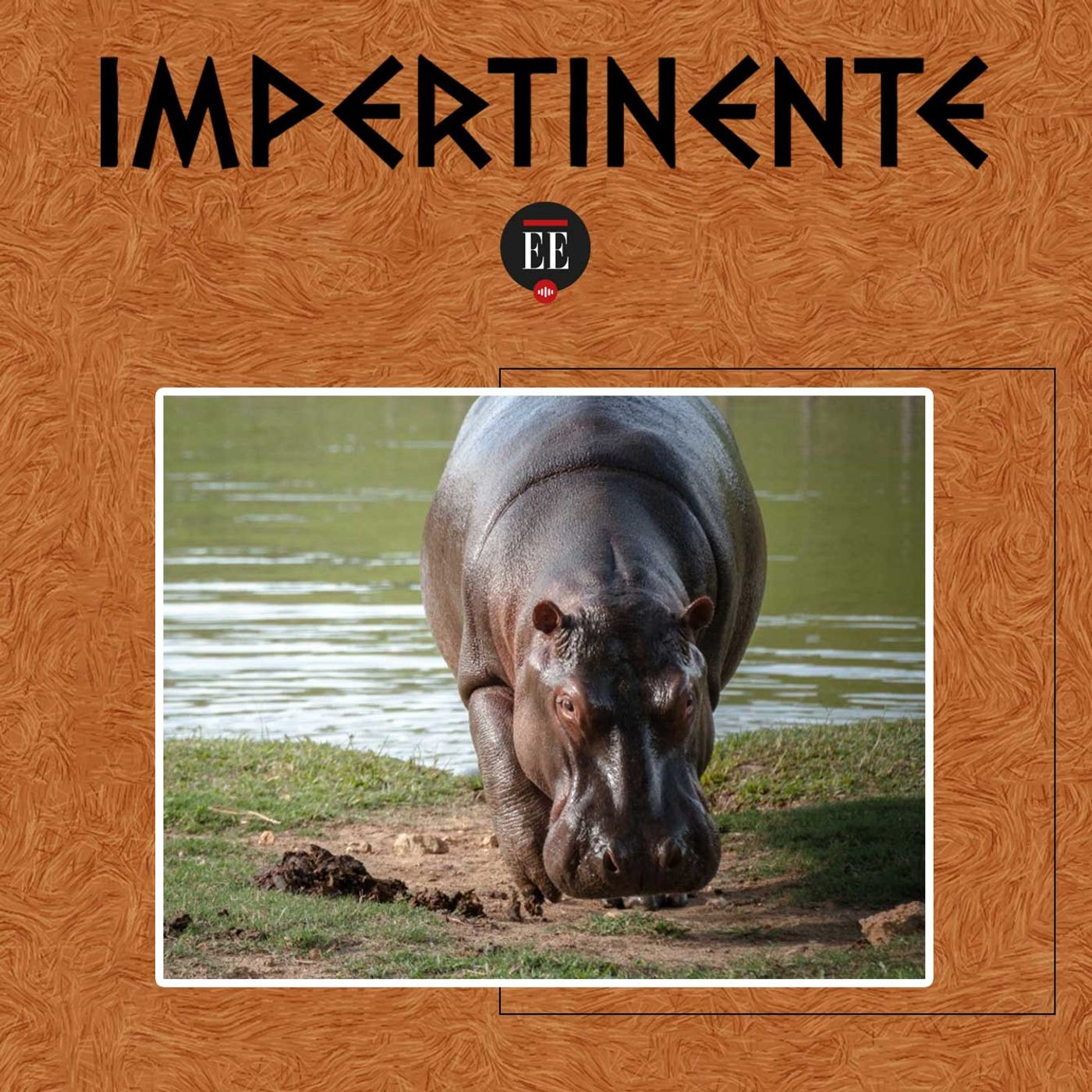 Impertinente