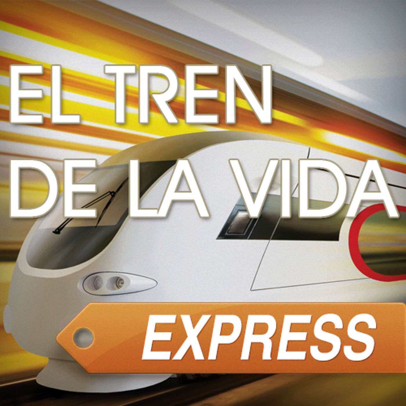 EL TREN DE LA VIDA EXPRESS