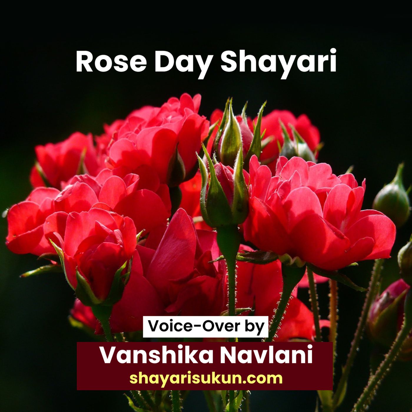 Shayari Sukun | शायरी सुकून