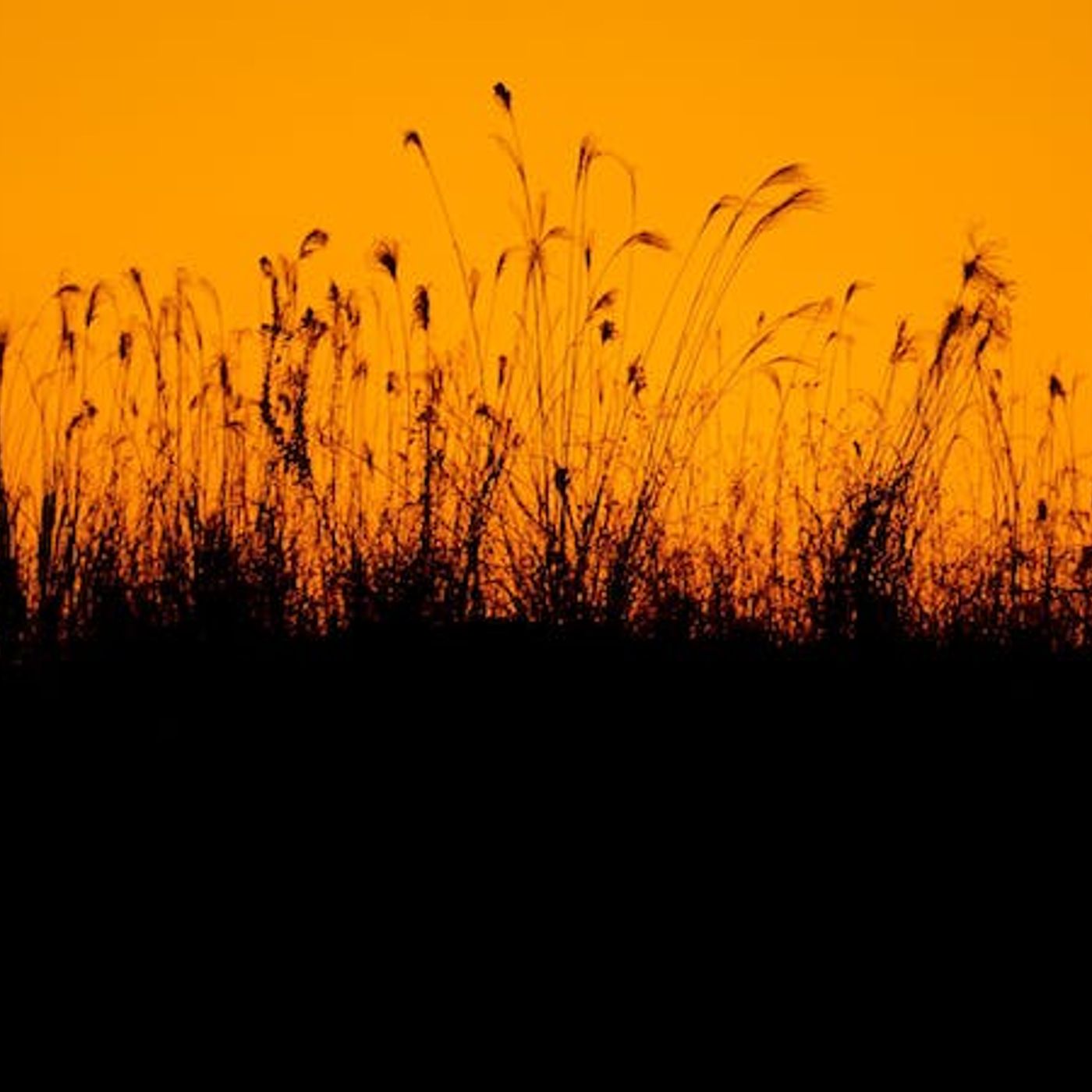 What Didn’t Christ Accomplish?