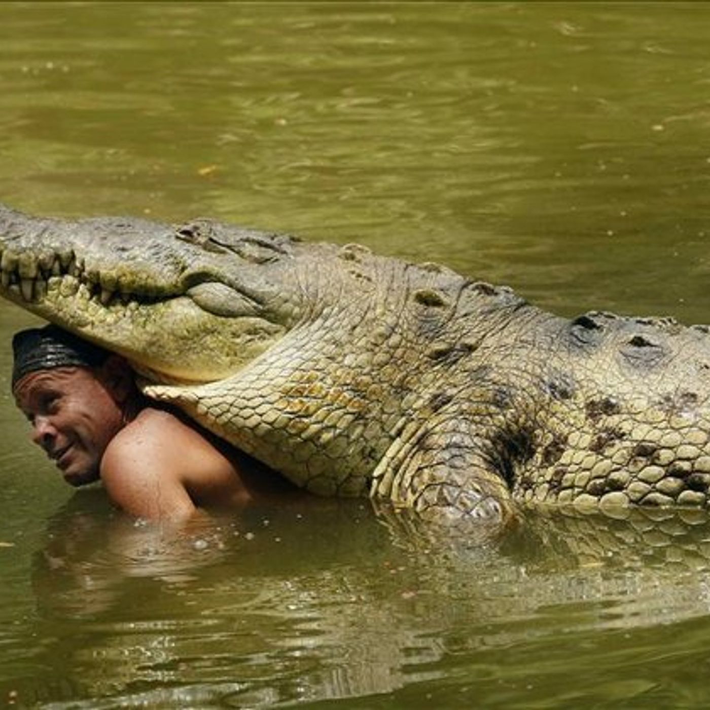 QUE COME ESE CAIMAN episode artwork