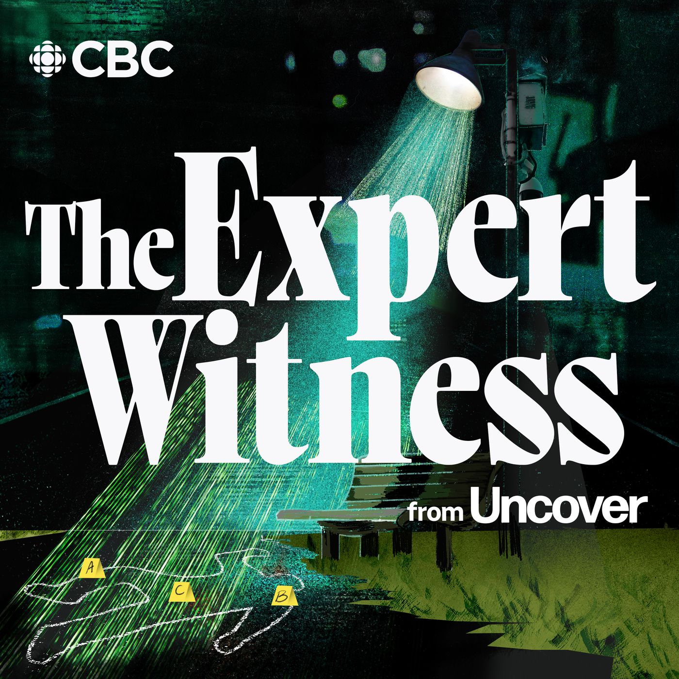 The Expert Witness | S37 Trailer episode artwork
