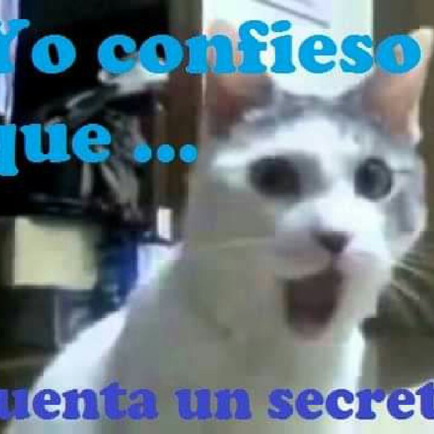 Yo Confieso que ...
