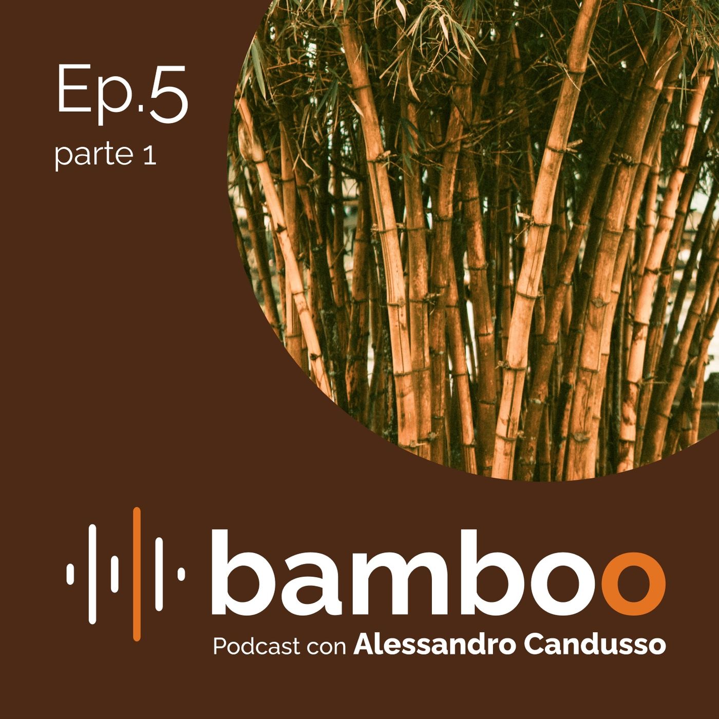 Bamboo Podcast con Alessandro Candusso