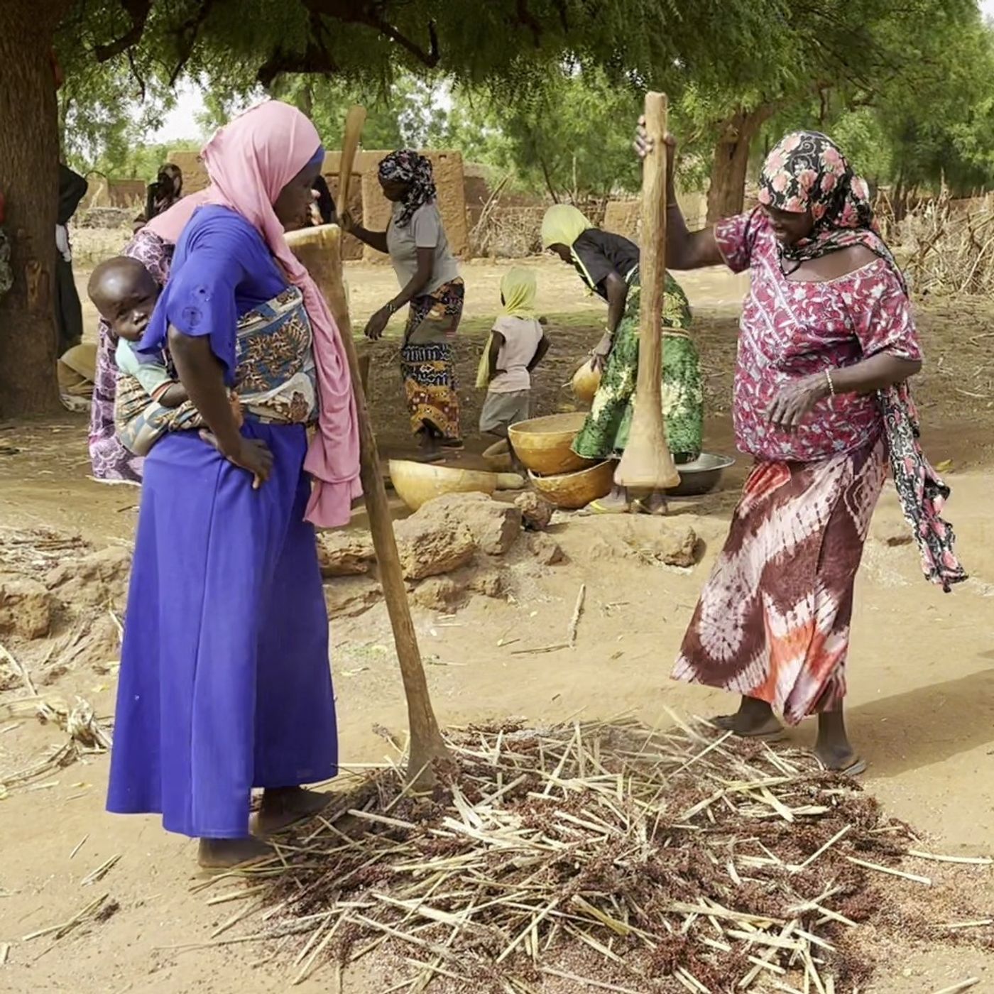 À Yama, le quotidien des femmes batteuses de mil (magazine) episode artwork