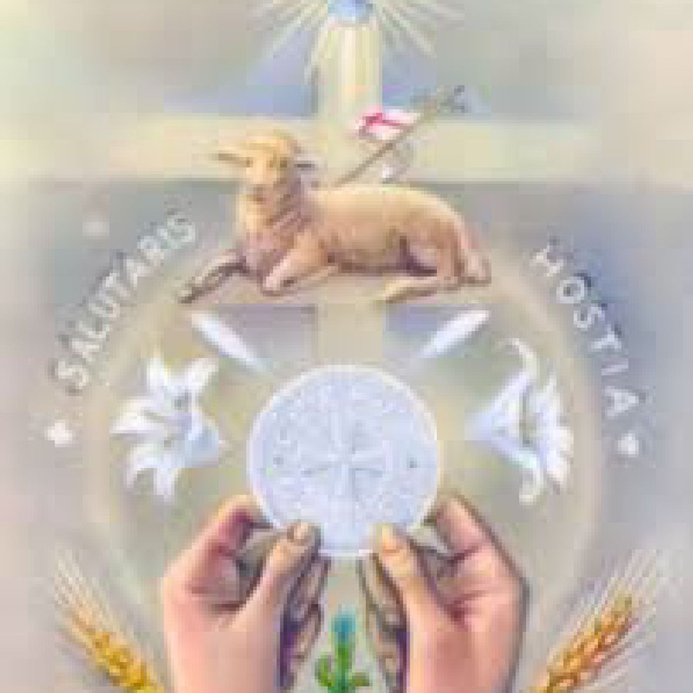 La Reflexión del Día"Jesús Eucaristía es Cordero Inmolado" episode artwork