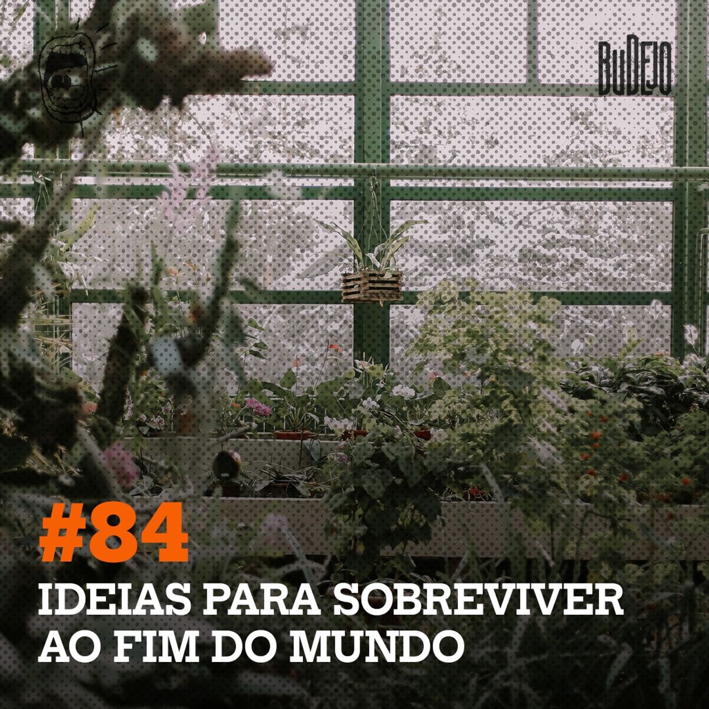 Budejo