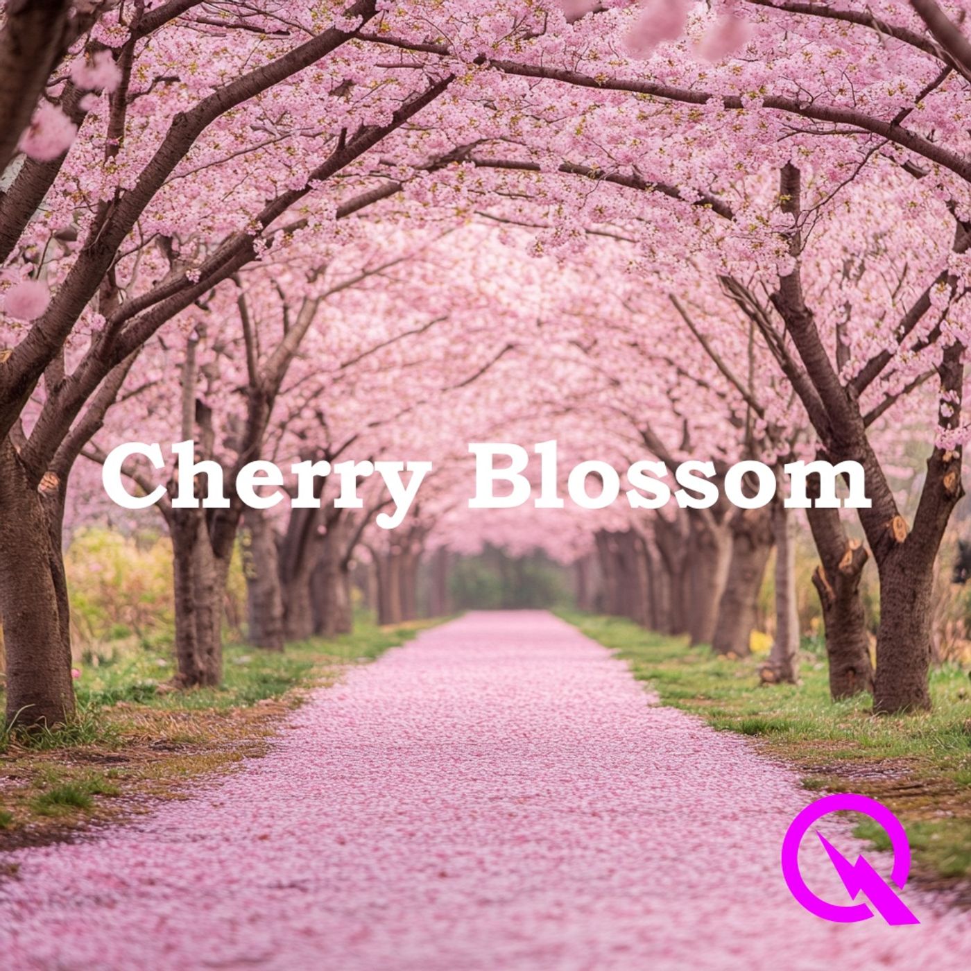 Cherry Blossom