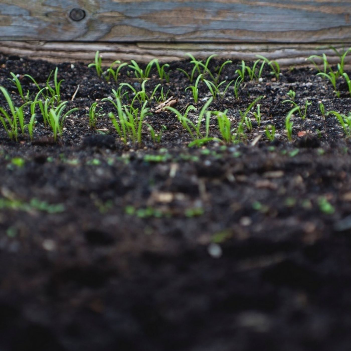 Le news di Re Soil Foundation