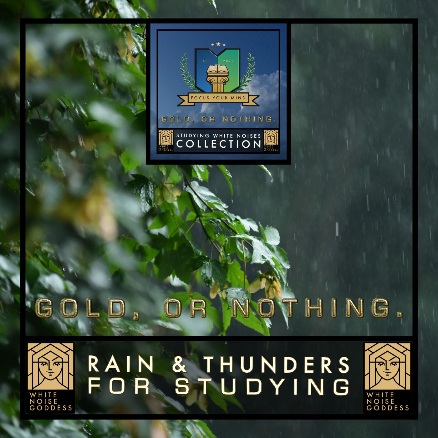 Rain & Thunder Sounds For Studying | Raining Ambience To Focus Rain & Thunder Sounds For Studying | Raining Ambience To Focus